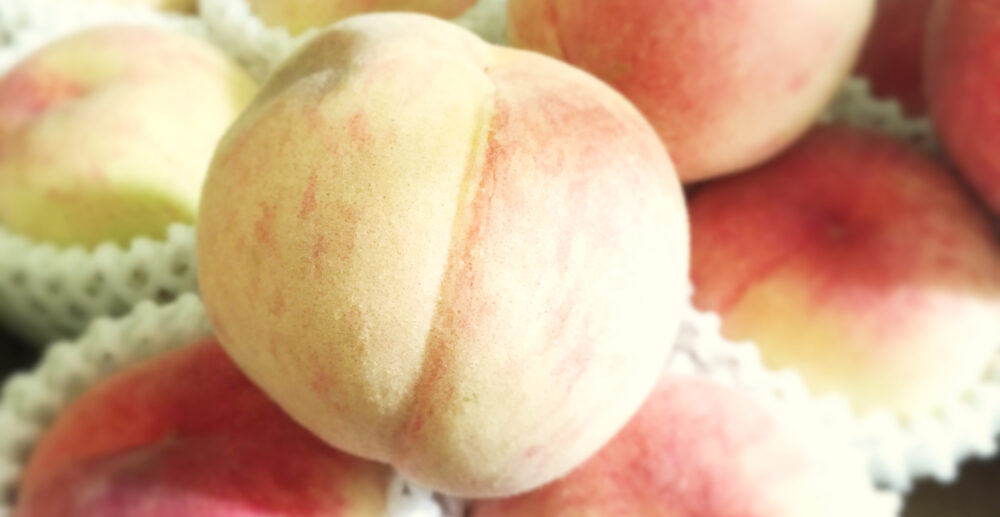 桃スイーツ2025始まります🍑